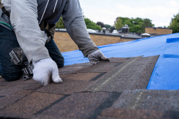 Best New Roof Installation  in East Richmond Heights, CA
